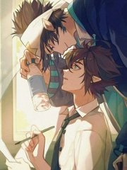 猫咪永久入口网站